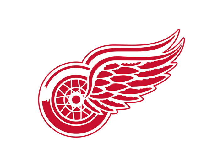 Detroit Red Wings streetwear collection by SANA with custom hockey jerseys by Men's League Sweaters